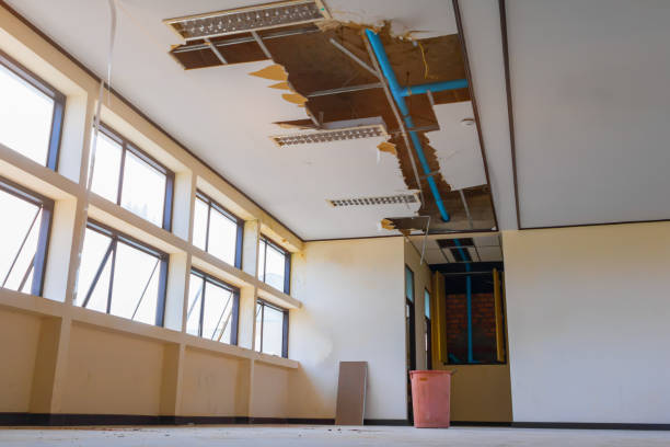 Best Flood damage cleanup  in West Branch, IA
