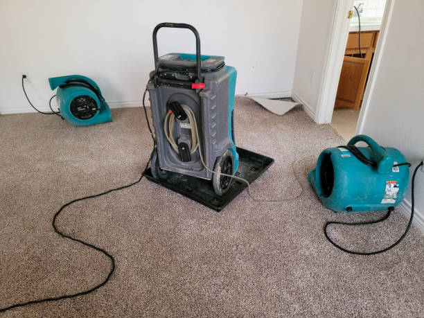Best Commercial water damage restoration  in West Branch, IA