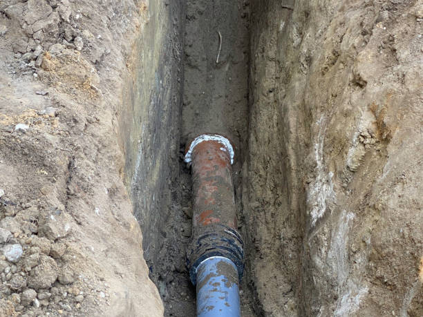 Best 24/7 water damage repair  in West Branch, IA