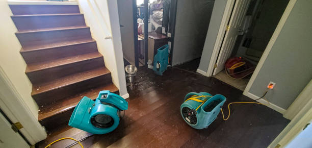 Best Local water damage restoration  in West Branch, IA