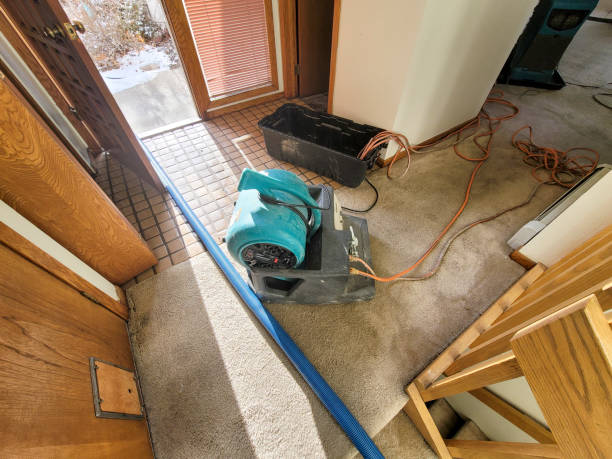 Best Professional water damage repair  in West Branch, IA